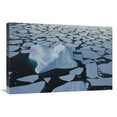 thumbnail image 1 of 20 x 30 in. Iceberg Drifting Among Ice Floes, Southern Ocean, East Antarctica Art Print - Colin Monteath, 1 of 1