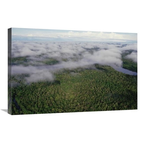 20 x 30 in. Kikori River & Runs Through Rainforest, Kikori Delta, Papua New Guinea Art Print - Gerry Ellis