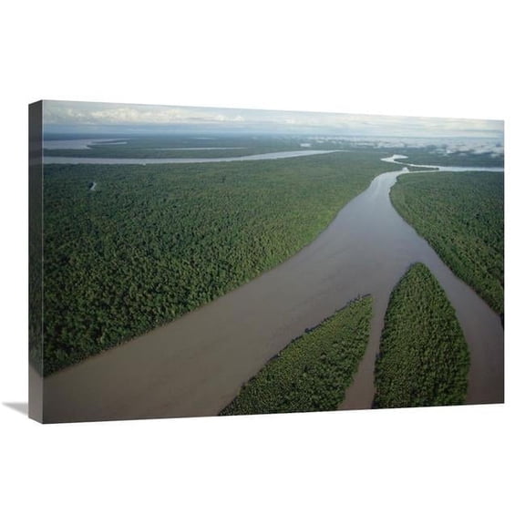 20 x 30 in. Kikori River & Runs Through Rainforest, Kikori Delta, Papua New Guinea Art Print - Gerry Ellis