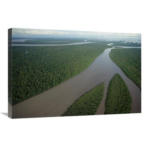 20 x 30 in. Kikori River & Runs Through Rainforest, Kikori Delta, Papua New Guinea Art Print - Gerry Ellis