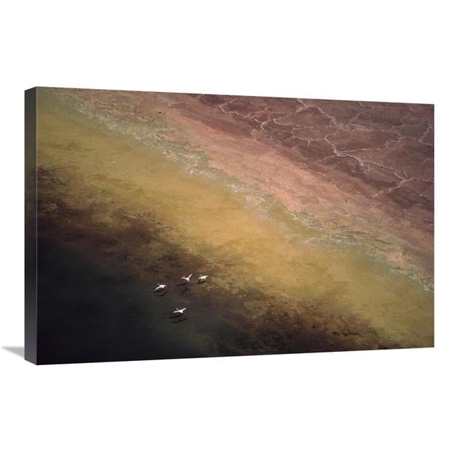20 X 30 In Lesser Flamingo Flock Of Four Flying Over Soda Flats At The 20-x-30-in-lesser-flamingo-flock-of-four-flying-over-soda-flats-at-the