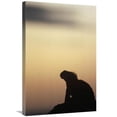 thumbnail image 1 of 20 x 30 in. Marine Iguana Silhouette Galapagos Islands, Ecuador Art Print - Tui De Roy, 1 of 1