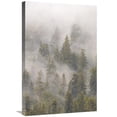 thumbnail image 1 of 20 x 30 in. Mist in Tongass National Forest, Juneau, Alaska Art Print - Matthias Breiter, 1 of 1