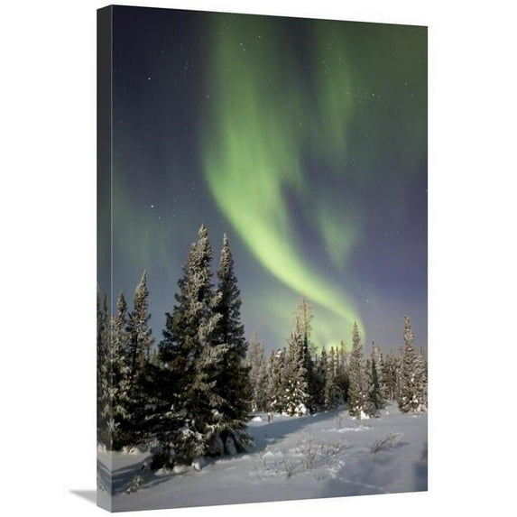 20 x 30 in. Northern Lights Over Boreal Forest, North America Art Print - Matthias Breiter