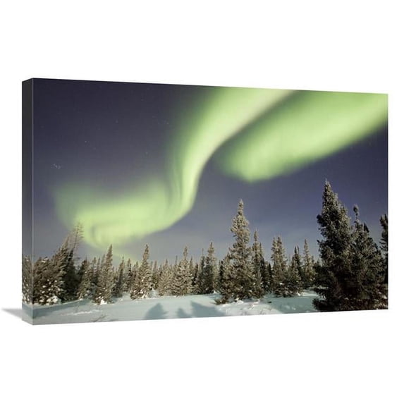 20 x 30 in. Northern Lights or Aurora Borealis Over Boreal Forest, North America Art Print - Matthias Breiter