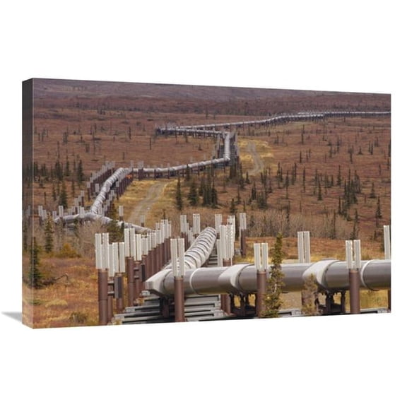 20 x 30 in. Oil Pipeline Crossing Taiga, Alaska Art Print - Gerry Ellis