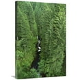 thumbnail image 1 of 20 x 30 in. Oneonta Creek, Columbia Gorge, Mt Hood National Forest, Oregon Art Print - Gerry Ellis, 1 of 1
