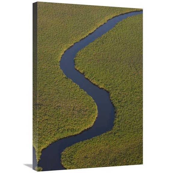 20 x 30 in. Papyrus Swamps & Channel, Aerial VIew, Africa Art Print - Pete Oxford