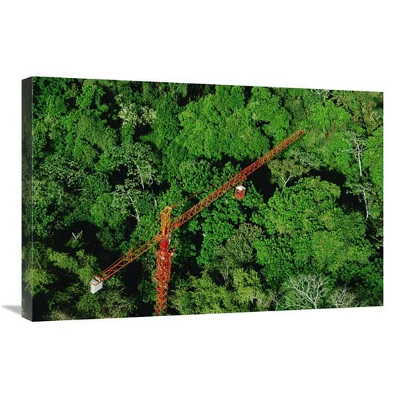 20 x 30 in. Rainforest Canopy Research Crane, Stri, Panama Art Print - Mark Moffett