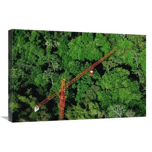 20 x 30 in. Rainforest Canopy Research Crane, Stri, Panama Art Print - Mark Moffett