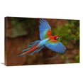 thumbnail image 1 of 20 x 30 in. Red & Green Macaw Flying, Mato Grosso Do Sul, Brazil Art Print - Pete Oxford, 1 of 1