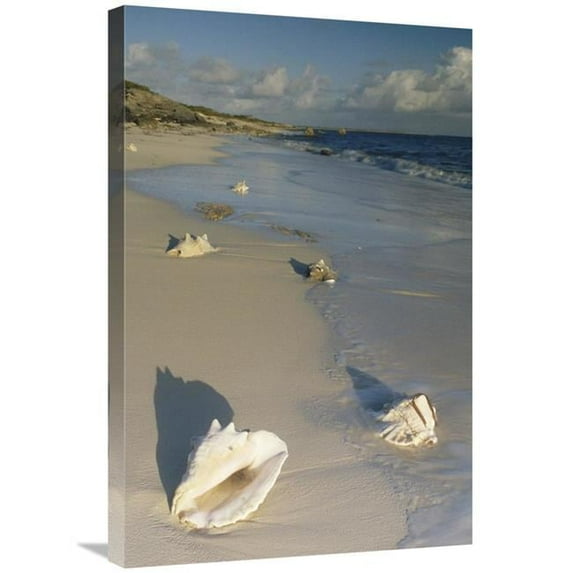 20 x 30 in. Reef Harbor Beach, Turks & Caicos Islands, Caribbean Art Print - Gerry Ellis