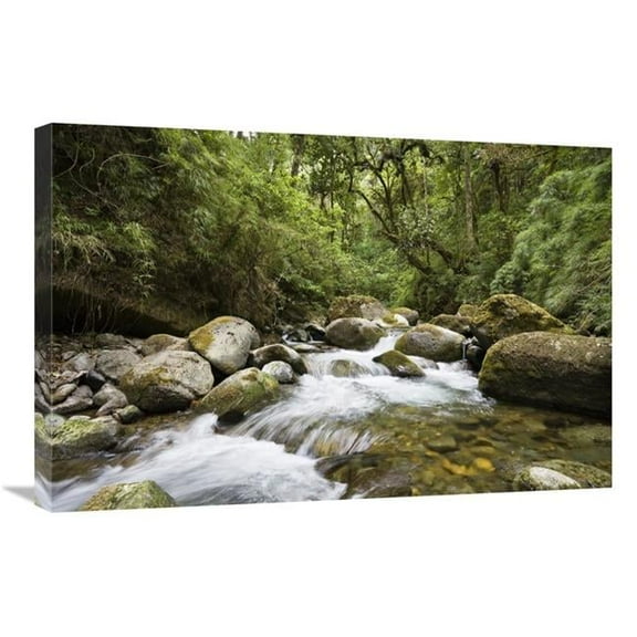 20 x 30 in. Savegre River Running Through Rainforest, Costa Rica Art Print - Konrad Wothe