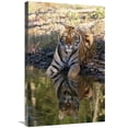 thumbnail image 1 of 20 x 30 in. Siberian Tiger Resting Along Waters Edge Art Print - Tim Fitzharris, 1 of 1