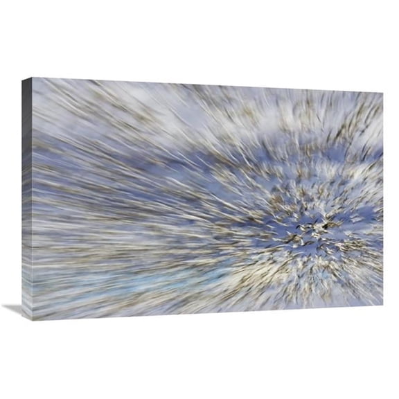 20 x 30 in. Snow Goose Massive Flock Flying, Bosque Del Apache National Wildlife Refuge, New Mexico Art Print - Konrad Wothe