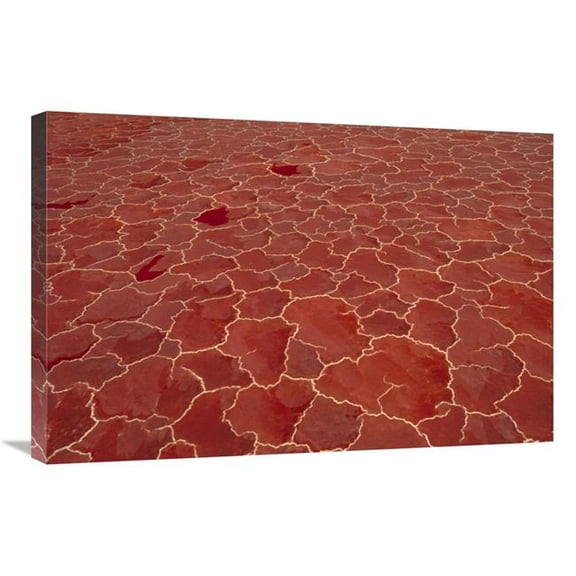 20 x 30 in. Soda & Algae Formation on Surface of Lake Natron, Great Rift Valley, Tanzania Art Print - Gerry Ellis