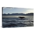 thumbnail image 1 of 20 x 30 in. Sperm Whale Tail, New Zealand Art Print - Flip Nicklin, 1 of 1