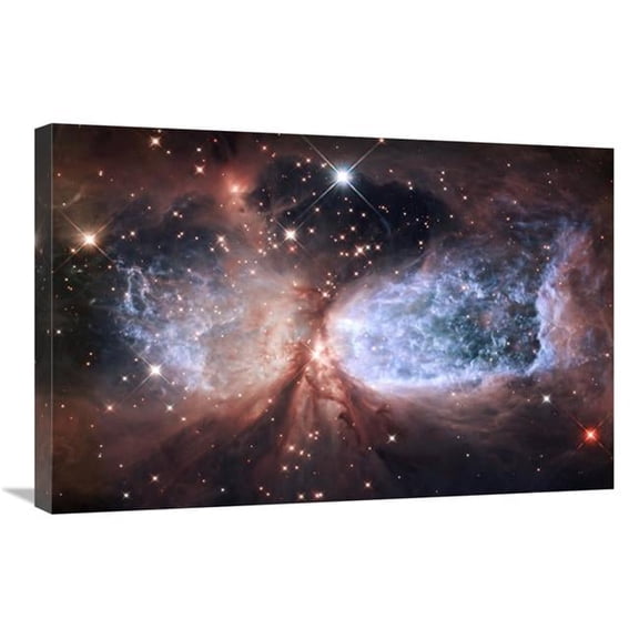 20 x 30 in. Star-Forming Region S106 Art Print - NASA