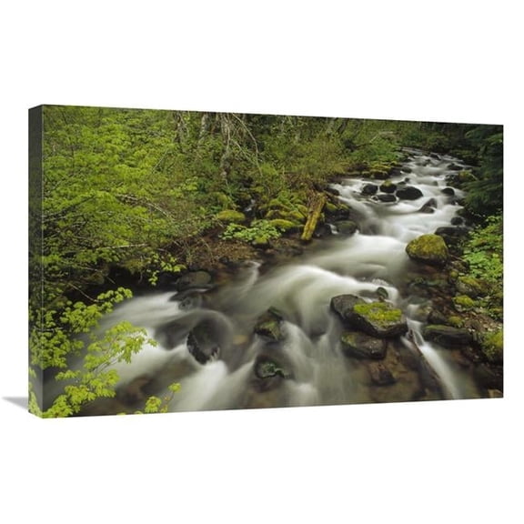 20 x 30 in. Still Creek in Spring, Mt Hood National Forest, Oregon Art Print - Gerry Ellis