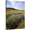 thumbnail image 1 of 20 x 30 in. Tundra Bog in Autumn, Saglek Coast, Labrador Bay, Newfoundland, Canada Art Print - Tui De Roy, 1 of 1