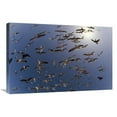 thumbnail image 1 of 20 x 30 in. Western Gulls Flying, North America Art Print - Tim Fitzharris, 1 of 1