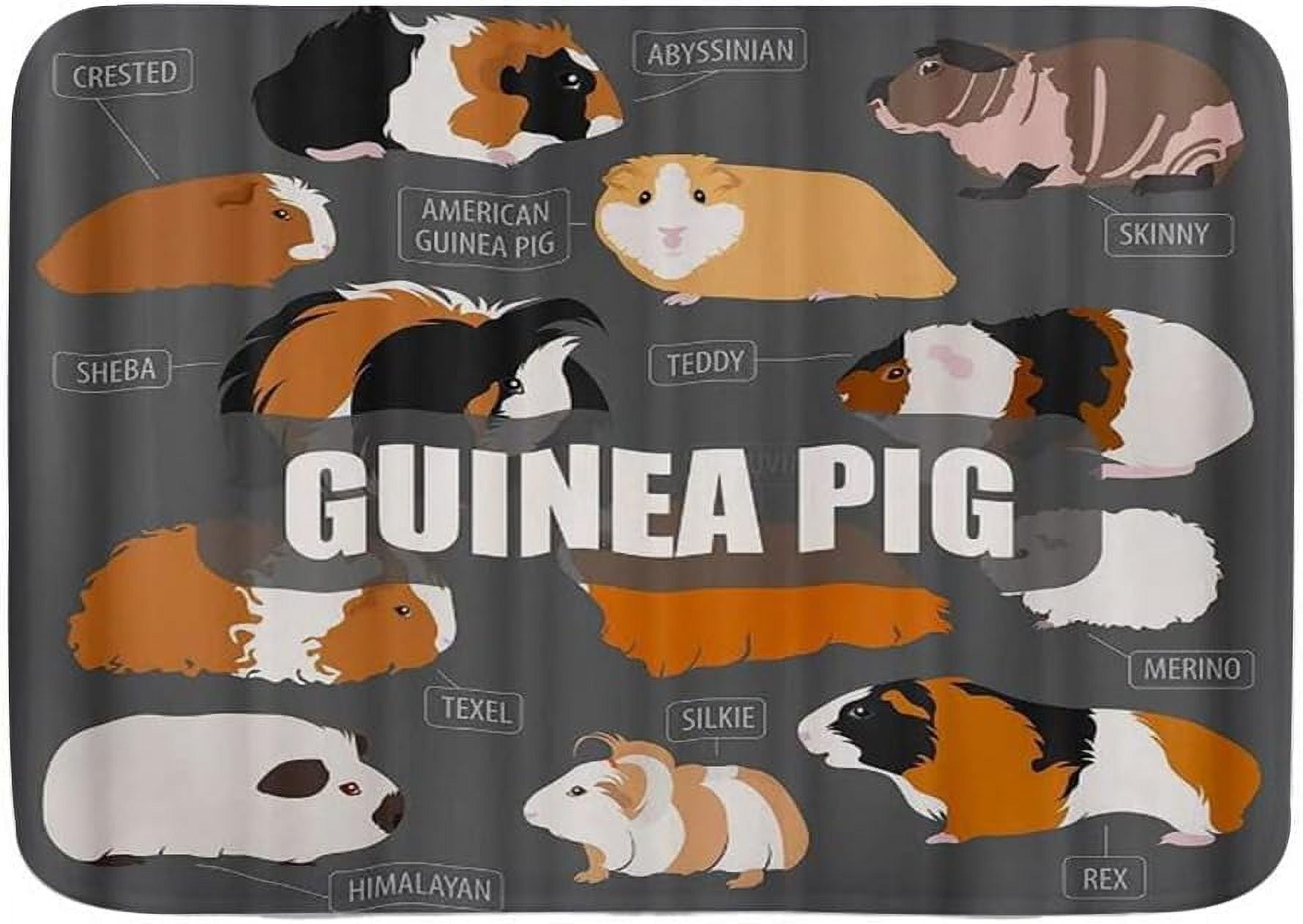 20" x 32" Bath Mat,Guinea Pig Cute Cavy Pattern Cartoon Lovely Pet Animal Theme,Bath Rugs Non