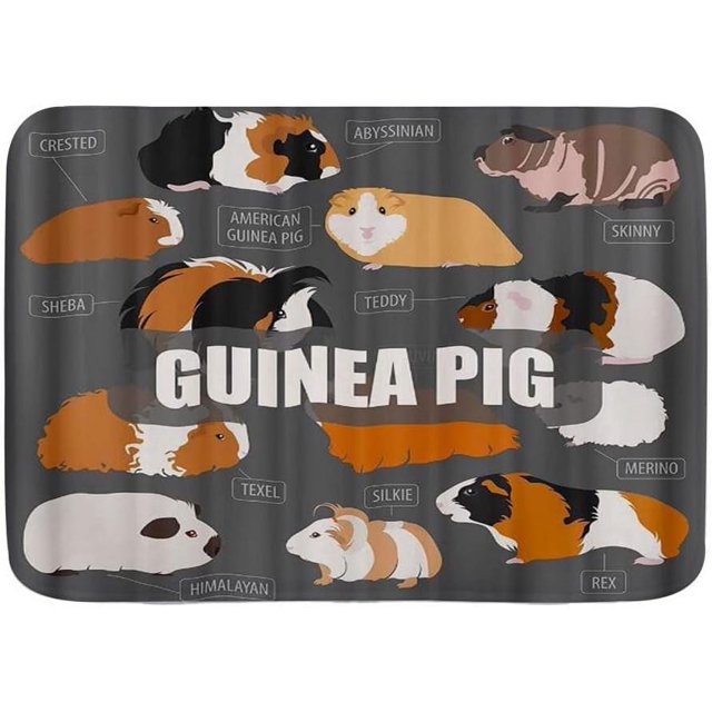 20" x 32" Bath Mat,Guinea Pig Cute Cavy Pattern Cartoon Lovely Pet