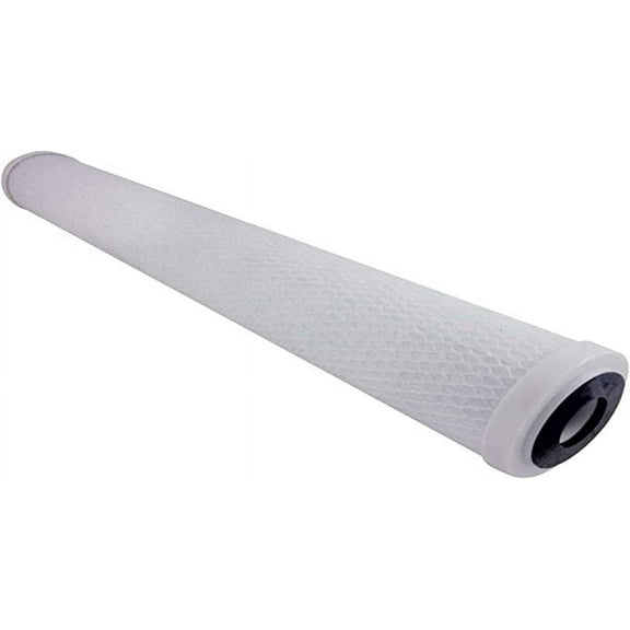 20 x 4.5 Inch Carbon Whole House Filter C2-02 Fits IHS12-D4 and IHS22-D4 Filtration Systems by CFS