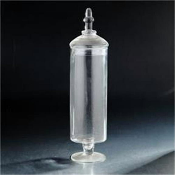 20 x 5.5 in. Glass Jar with Lid, Clear