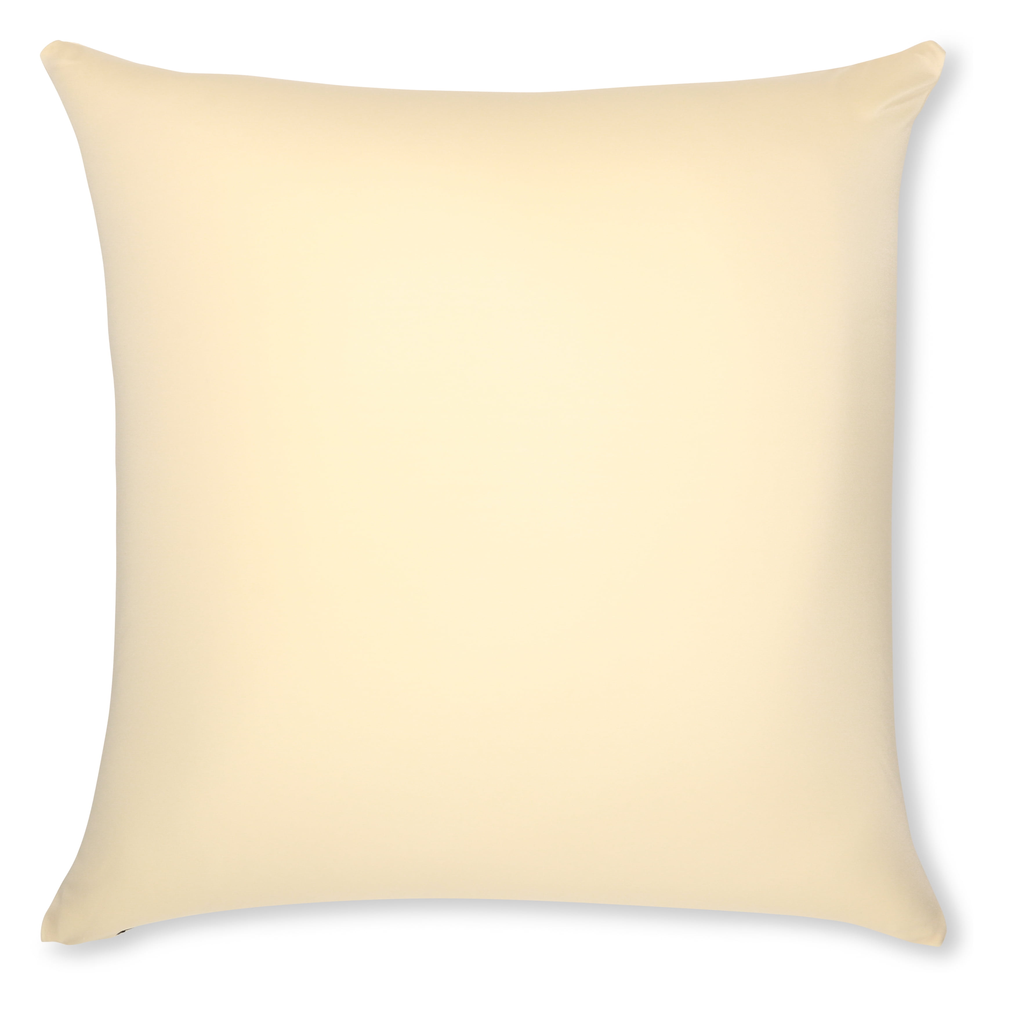 20" x 20" Off-White Microbead Pillow with Nylon/Spandex Cover