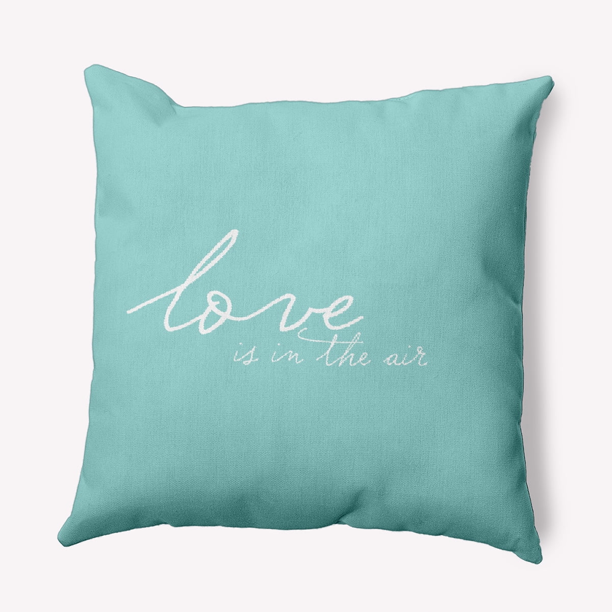 20"x20" Simply Daisy Valentines Love in the Air Poly Accent Pillow, Blue Qty 1