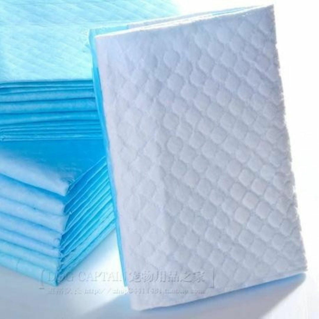 200 23x24" 5-Ply Quilted Absorbent Scented Puppy Dog Training Pads Reusable for up to 8 hours