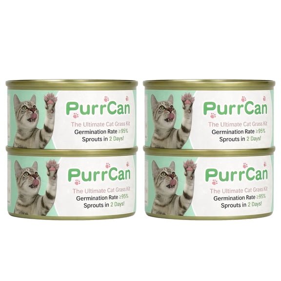 200% 4-Planter Cat Grass Growing Kit, Soil-Free, Organic Non-GMO Seeds