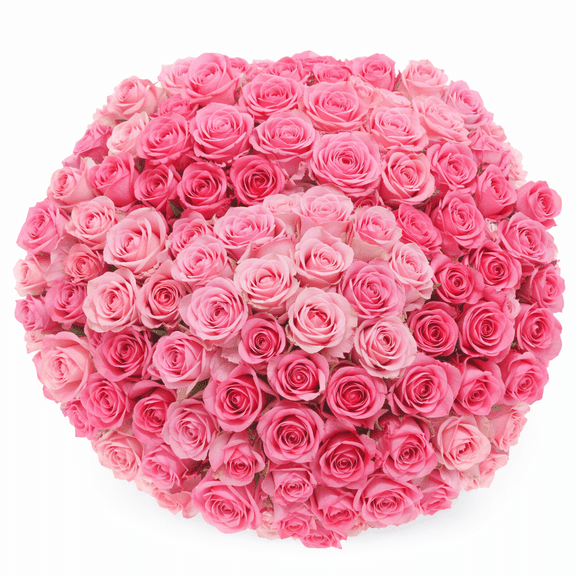 200 Assorted Pink Roses- Beautiful Fresh Cut Flowers- Express Delivery