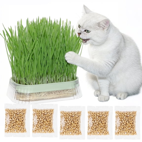 Cat Grass Growing Kit for Indoor Cats, Soil-Free Hydroponic Planter with 5 Packs Organic Non-GMO Seeds, Reusable Cat Grass Kit for Beginners