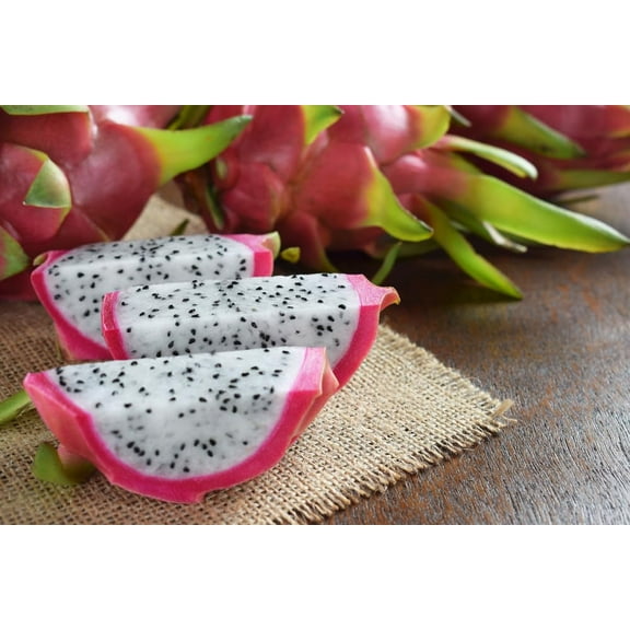 200 Dragon Fruit Seeds, Hylocereus Triangularis - Luscious Fruit and Fragrant Night-Blooming Blooms