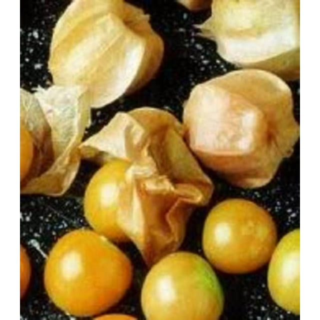 200 Organic GROUND CHERRY Physalis Pruinosa ( Golden Strawberry / Chinese Lantern ) Vegetable Seeds