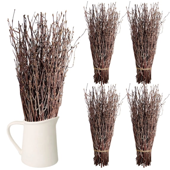 200 PCS Natural Birch Twigs, Natural Birch Branches for Vase, Dried Sticks for DIY Crafts, Rustic Centerpiece Fillers, Decorative Wood Stems for Floral Arrangements, Holiday Decor