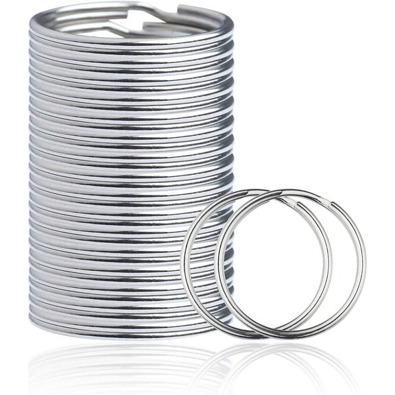 200 PCS Round Key Rings, Sturdy Nickel Plated Metal O Rings Split Keychain Rings for Home Office Car Keys Organized (Silver, 1 Inch) (200)