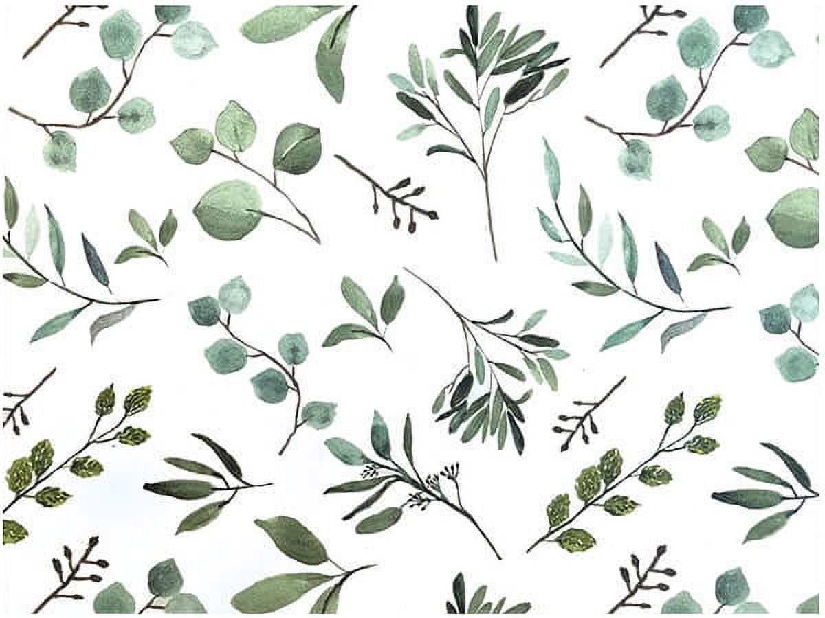 200 Pack, Eucalyptus Tissue Paper 20 x 30", Sheet Pack for DIY, Gift Wrapping, Birthday Parties and Events, Made In USA