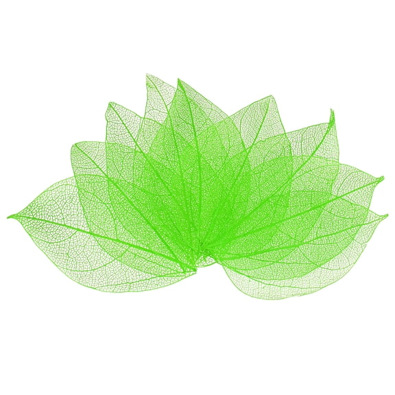 200-Pack Skeleton Leaves, Natural Rubber Tree Dried Pressed Leaves Vein [8-9cm, Green]