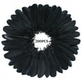 thumbnail image 1 of 200 Pcs Craft Goose Feathers MODANU 5-6inch Black Goose Feathers for DIY Crafts, Festival Costume, Cosplay Wings and Party Home Decorations, 1 of 6
