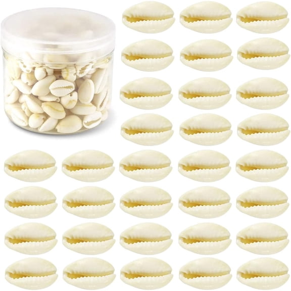200 Pcs Natural White Cowrie Shells, No Holes