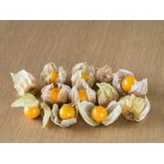 200 Seeds - Organic GROUND CHERRY Physalis Pruinosa ( Golden Strawberry / Chinese Lantern ) Vegetable Seeds