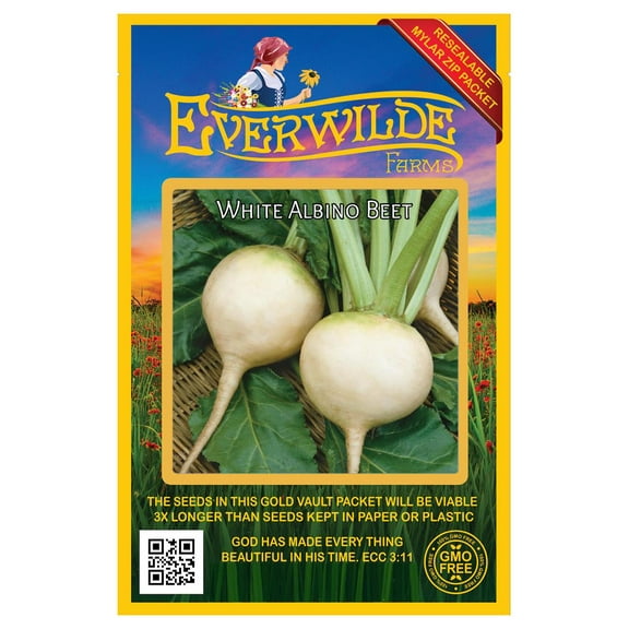 - 200 White Albino Beet Seeds - Gold Vault Jumbo Bulk Seed Packet