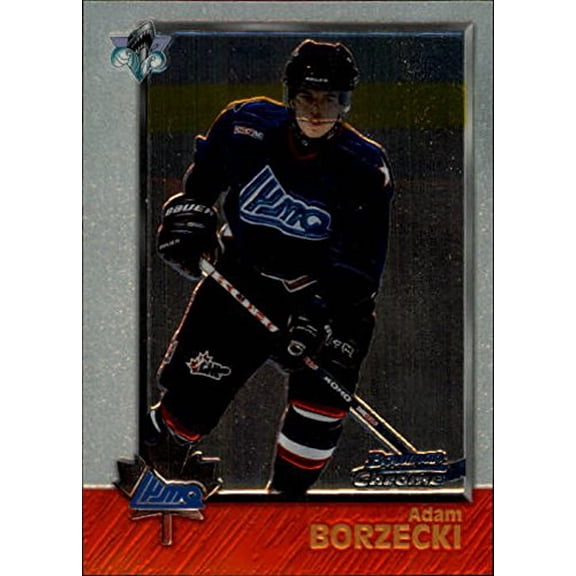 2000-01 BAP Memorabilia #14 Bryan McCabe NHL Hockey Trading Card