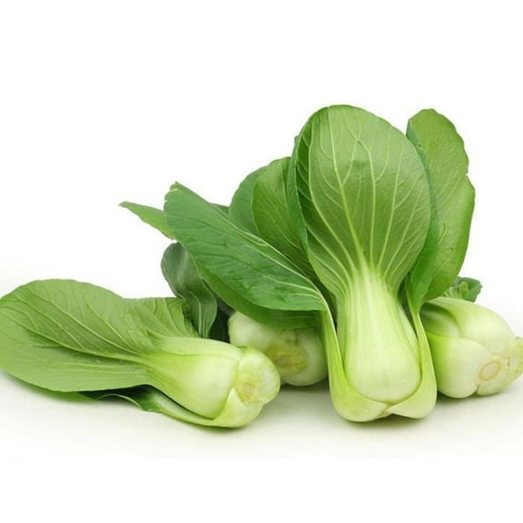 2000+ PAK CHOI SEEDS CHINESE WHITE CABBAGE BOK CHOY ASIAN VEGETABLE GARDEN USA