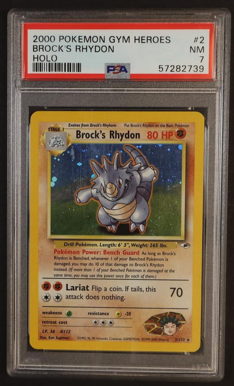 Brock Pokemon Brock Pokemon