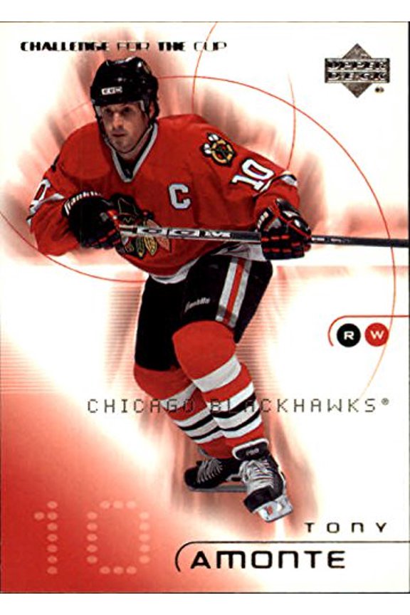 2001-02 UD Challenge for the Cup #14 Tony Amonte NHL Hockey Trading Card