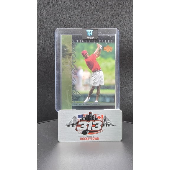 2001 Upper Deck Tiger's Tales Tiger Woods Stanford Cardinal #TT7 Trading Card
